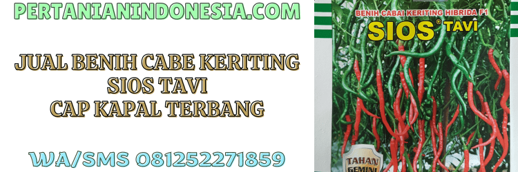 jual,murah,terjangkau,toko pertanian terdekat,pertanian indonesia